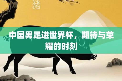 中国男足进世界杯，期待与荣耀的时刻漯河市盈旭机械设备有限公司