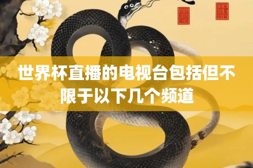 世界杯直播的电视台包括但不限于以下几个频道漯河市盈旭机械设备有限公司