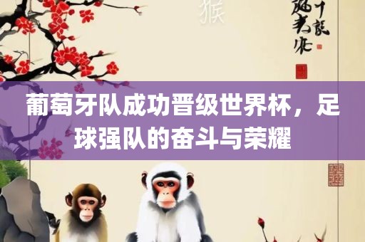 葡萄牙队成功晋级世界杯，足球强队的奋斗与荣耀