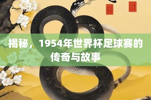 揭秘，1954年世界杯足球赛的传奇与故事漯河市盈旭机械设备有限公司