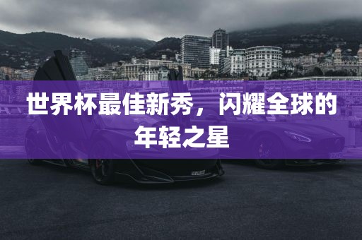 世界杯最佳新秀，闪耀全球的年轻之星漯河市盈旭机械设备有限公司
