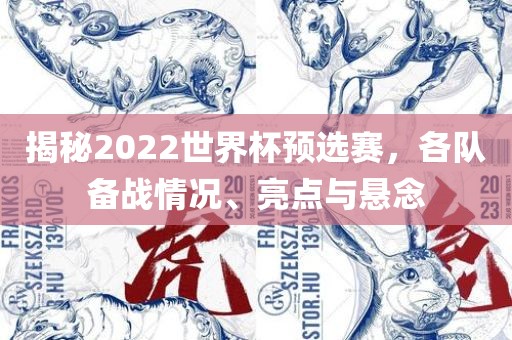 揭秘2022世界杯预选赛，各队备战情况、亮点与悬念漯河市盈旭机械设备有限公司