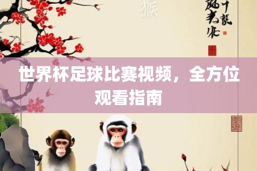 世界杯足球比赛视频，全方位观看指南