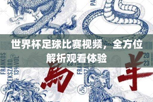 世界杯足球比赛视频，全方位解析观看体验