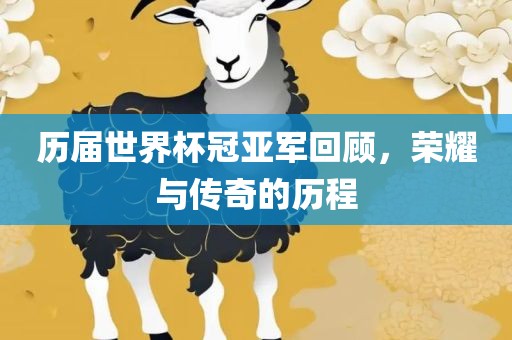 历届世界杯冠亚军回顾，荣耀与传奇的历程