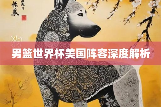 男篮世界杯美国阵容深度解析漯河市盈旭机械设备有限公司