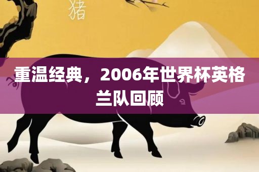 重温经典，2006年世界杯英格兰队回顾