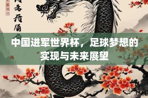 中国进军世界杯，足球梦想的实现与未来展望