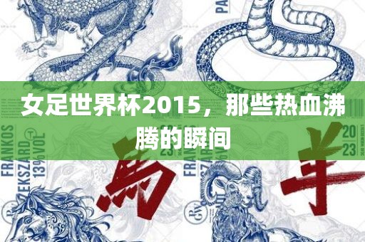 女足世界杯2015，那些热血沸腾的漯河市盈旭机械设备有限公司瞬间