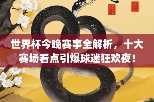 世界杯今晚赛事全解析，十大赛场看点引爆球迷狂欢夜！