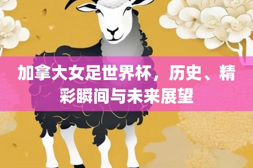 加拿大女足世界杯，历史、精彩瞬间与未来展望