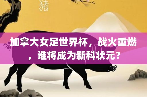 加拿大女足世界杯，战火重燃，谁将成为新科状元？漯河市盈旭机械设备有限公司