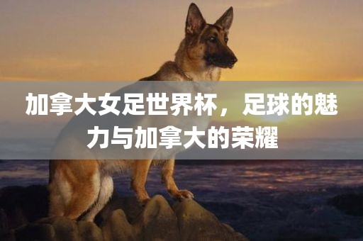 加拿大女足世界杯，足球的魅力与加拿大的荣耀