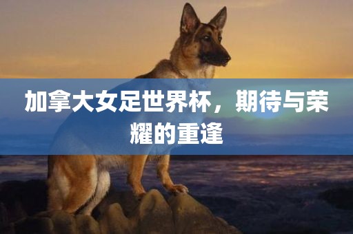 加拿大女足世界杯，期待与荣耀的重逢漯河市盈旭机械设备有限公司