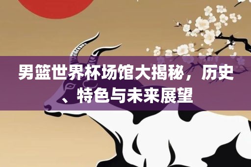 男篮世界杯场馆大揭秘，历史、特色与未来展望漯河市盈旭机械设备有限公司