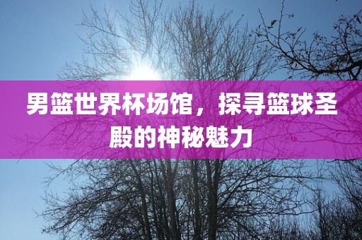男篮世界杯场馆，探寻篮球圣殿的神秘魅力漯河市盈旭机械设备有限公司