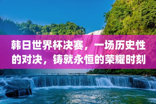 韩日世界杯决赛，一场历史性的对决，铸就永恒的荣耀时刻