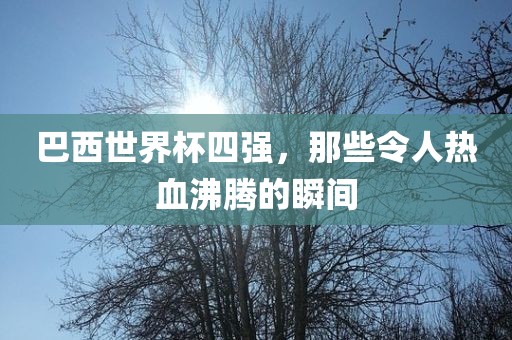 漯河市盈旭机械设备有限公司巴西世界杯四强，那些令人热血沸腾的瞬间