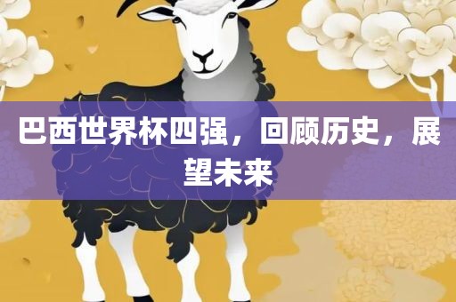 巴西世界杯四强，回顾历史，展望未来漯河市盈旭机械设备有限公司