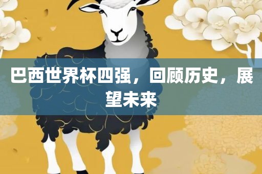 巴西世界杯四强，回顾历史，展望未来漯河市盈旭机械设备有限公司