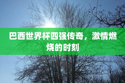 巴西世界杯四强传奇，激情燃烧的时刻漯河市盈旭机械设备有限公司