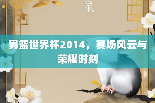 男篮世界杯2014，赛场风云与荣耀时刻漯河市盈旭机械设备有限公司
