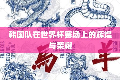 韩国队在世界杯赛场上的辉煌与荣耀