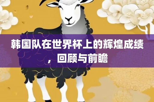 韩国队在世界杯上的辉煌成绩，回顾与前瞻