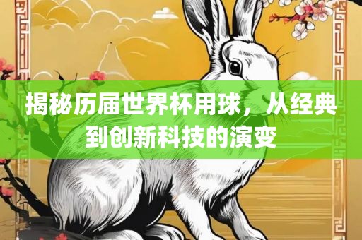 揭秘历届世界杯用球，从经典到创新科技的演变