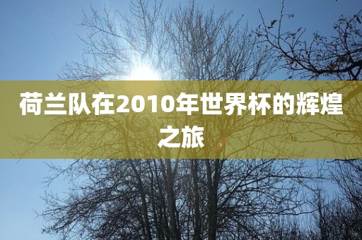 荷兰队在2010年世界杯的辉煌之旅