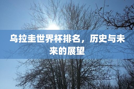 乌拉圭世界杯排名，历史与未来的展望