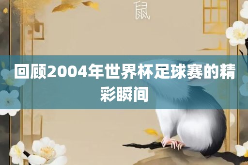 回顾2004年世界杯足球赛的精彩瞬间漯河市盈旭机械设备有限公司