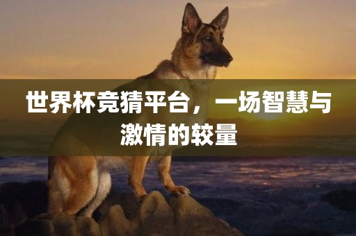 世界杯竞猜平台，一场智慧与激情的较量