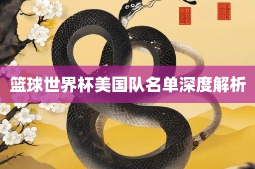 漯河市盈旭机械设备有限公司篮球世界杯美国队名单深度解析
