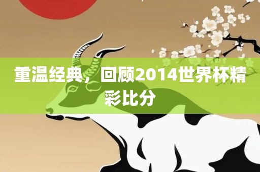 重温经典，回顾2014世界杯精彩比分