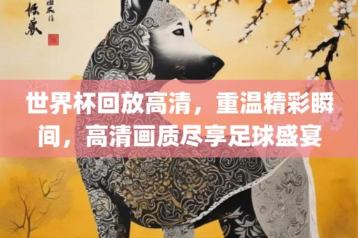 世界杯回放高清，重温精彩瞬间，高清画质尽享足球盛宴漯河市盈旭机械设备有限公司