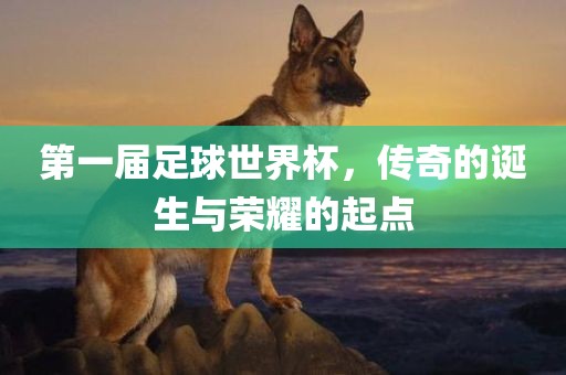 第一届足球世界杯漯河市盈旭机械设备有限公司，传奇的诞生与荣耀的起点
