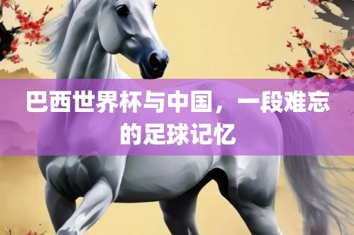 巴西世漯河市盈旭机械设备有限公司界杯与中国，一段难忘的足球记忆