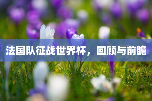 法国队征战世界杯，回顾与前瞻漯河市盈旭机械设备有限公司
