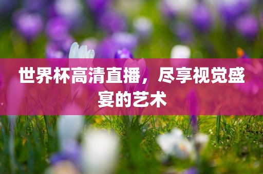 世界杯高清直播，尽享视觉盛宴的艺术