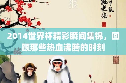 2014世界杯精彩瞬间集锦，回顾那些热血沸腾的时刻