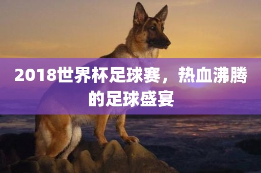 2018世界漯河市盈旭机械设备有限公司杯足球赛，热血沸腾的足球盛宴