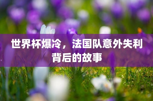 世界杯爆冷，法国队意外失利背后的故事