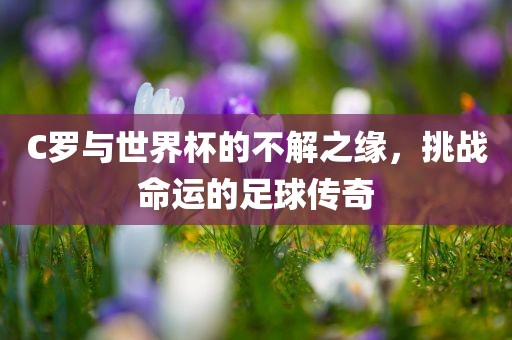C罗与世界杯的不解之缘，挑漯河市盈旭机械设备有限公司战命运的足球传奇