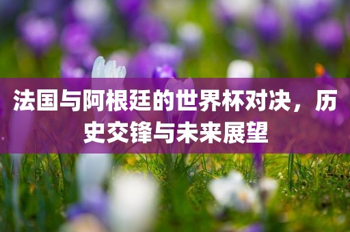法国与阿根廷的世界杯对决，历史交锋与未来展望