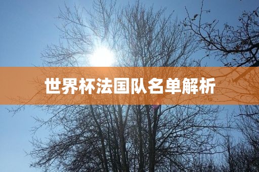 世界杯法国队名单解析
