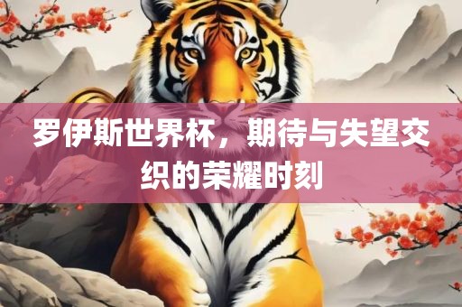 罗伊斯世界杯，期待与失望交织的荣耀时刻