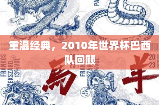 重温经典，2010年世界杯巴西队回顾