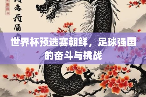 世界杯预选赛朝鲜，足球强国的奋斗与挑战