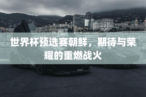 世漯河市盈旭机械设备有限公司界杯预选赛朝鲜，期待与荣耀的重燃战火